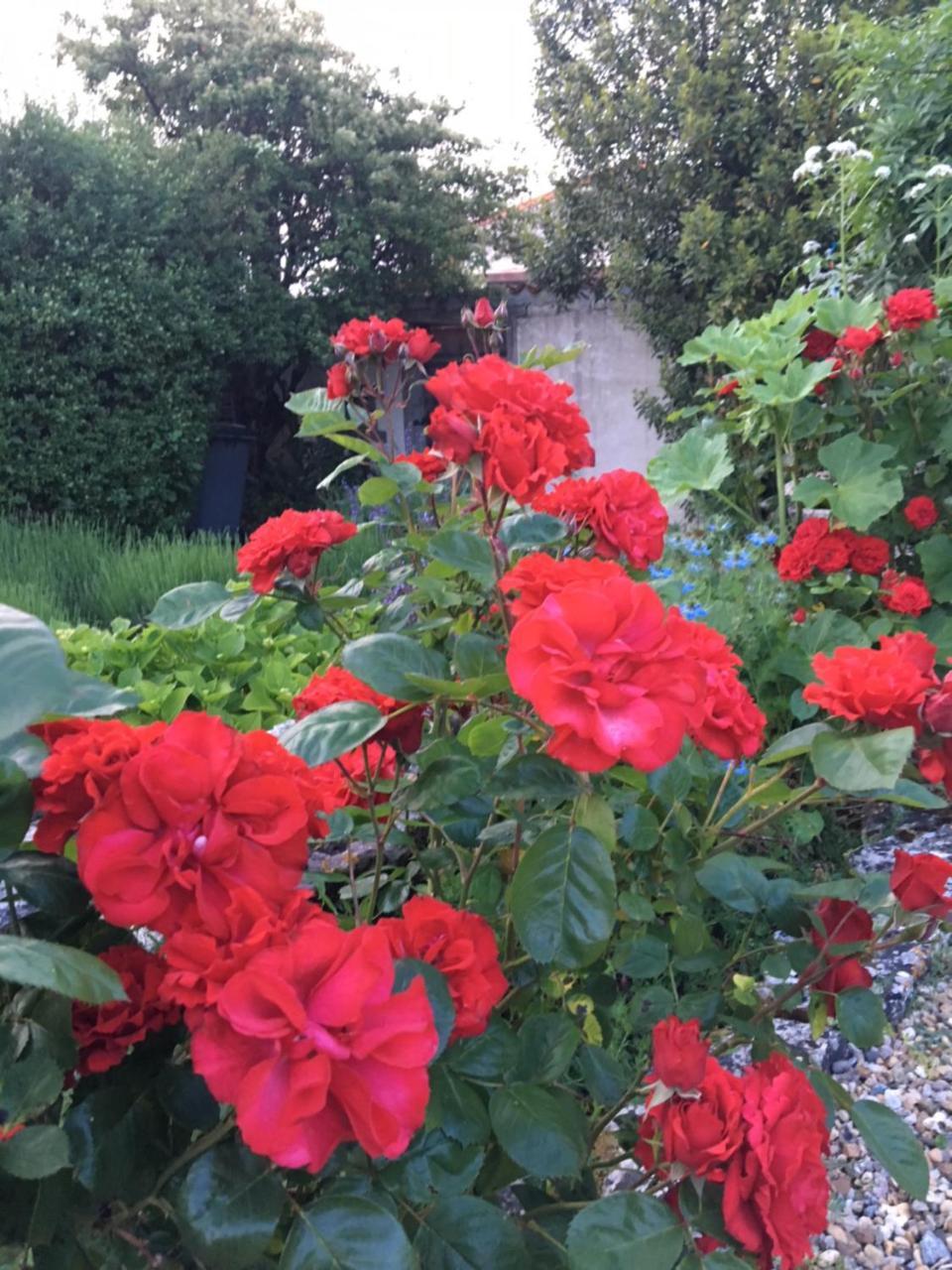 Bed and Breakfast Campagn'Art Les Fosses Exterior foto